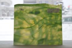 激安!ヤカゲニー S