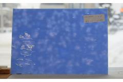 激安!ヤカゲニー S