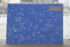 激安!ヤカゲニー S