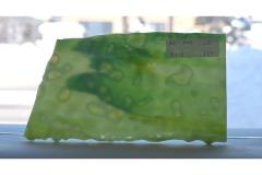 激安!ブルズアイ