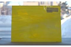 激安!スペクトラム(SPF)オパールセント