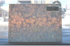 激安!ヤカゲニー S