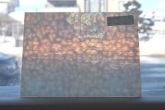 激安!ヤカゲニー S