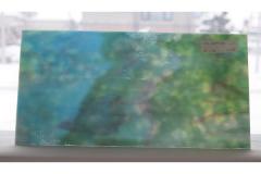 激安!ヤカゲニー G