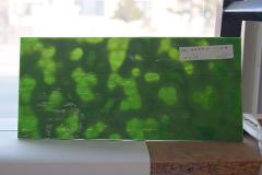 激安!ヤカゲニー S