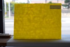 激安!ヤカゲニー S