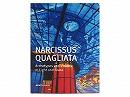 NARCISSUS QUAGLIATA 2