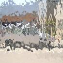 スペクトラム(SPF)ウォーター