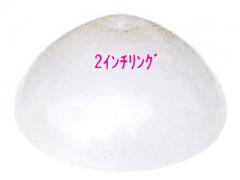 透過モールド・ドーム