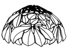 オディッセイ システム S121(チェストナッツ)