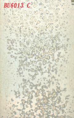 ブルズアイ リングモトル