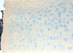 ブルズアイ フュージング BUF(3mm厚)