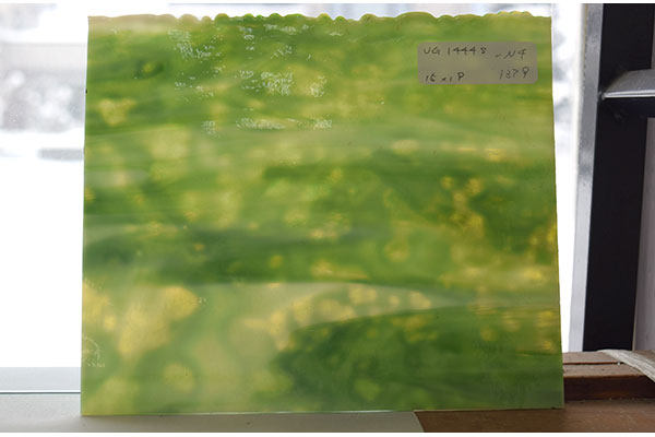 激安!ヤカゲニー S