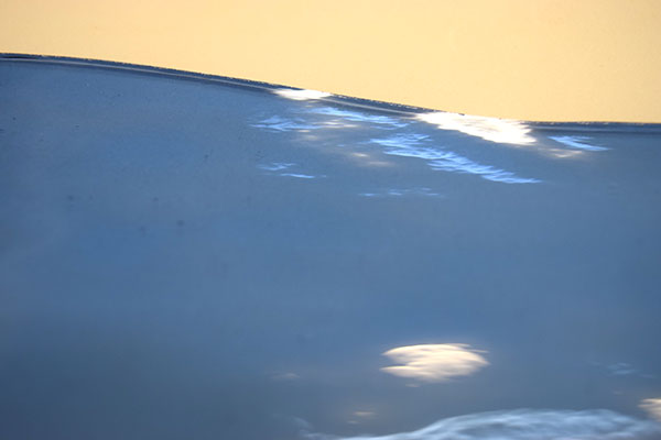 激安!スペクトラム(SPF)ウォーター