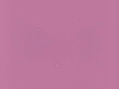 ブルズアイ フリット 02-150