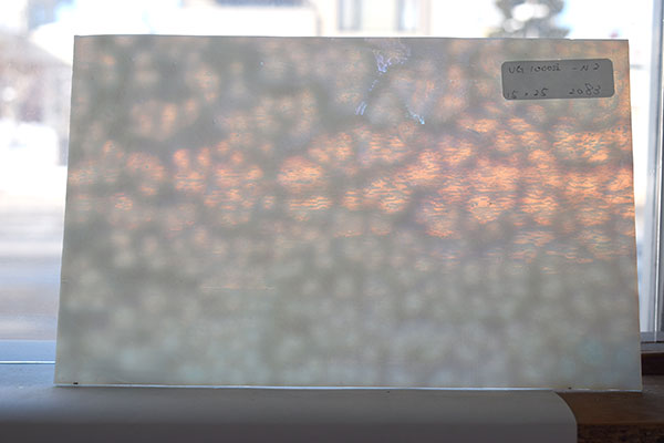 激安!ヤカゲニー S