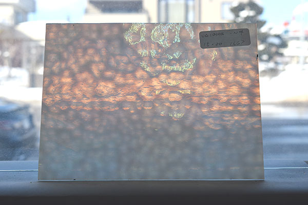 激安!ヤカゲニー S