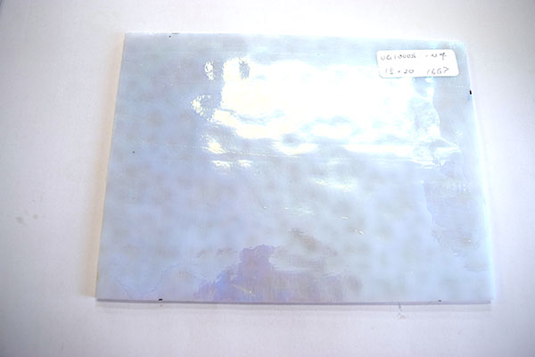 激安!ヤカゲニー S