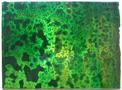 ブルズアイ リングモトル