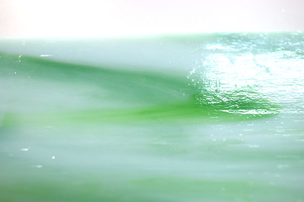 激安!ココモ オパールセント