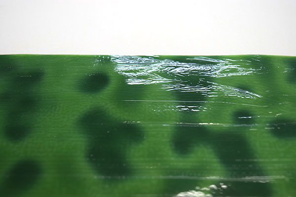 激安!ヤカゲニー S