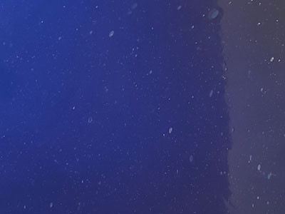 ランバーツ オパック