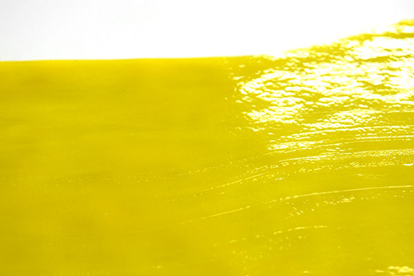 激安!ヤカゲニー S