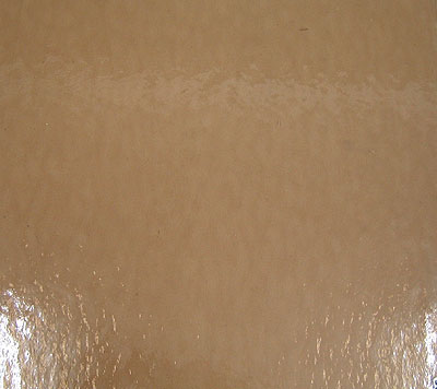 スペクトラム(SPF)ラフロール