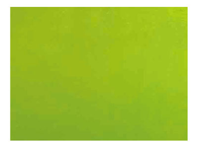 ブルズアイ フュージング BUT  (2mm厚)