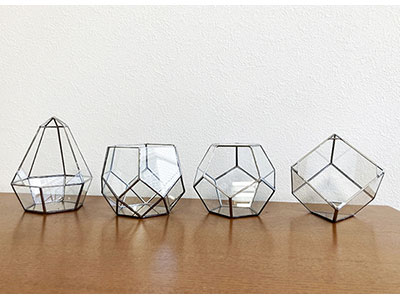 テラリウムパターン4種セット