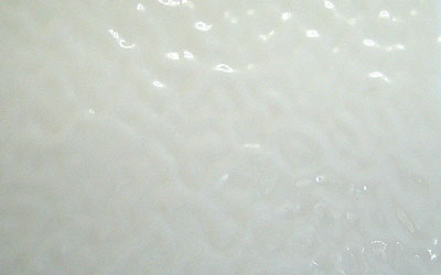 スペクトラム(SPF)ファイアライト