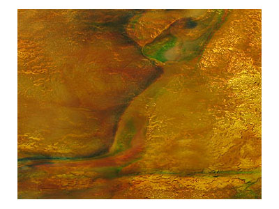 ヤカゲニーウロボロス