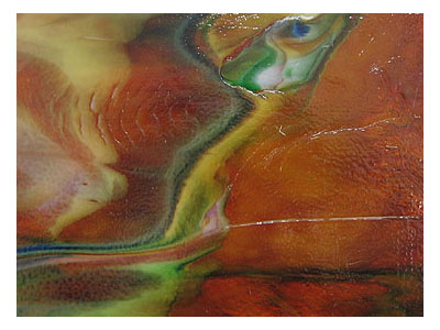 ヤカゲニーウロボロス