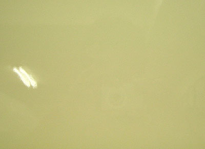 スペクトラム(SPF)オパック