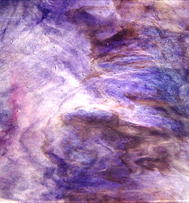 ヤカゲニー スティップル